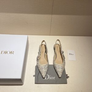 DIOR FLATS 2