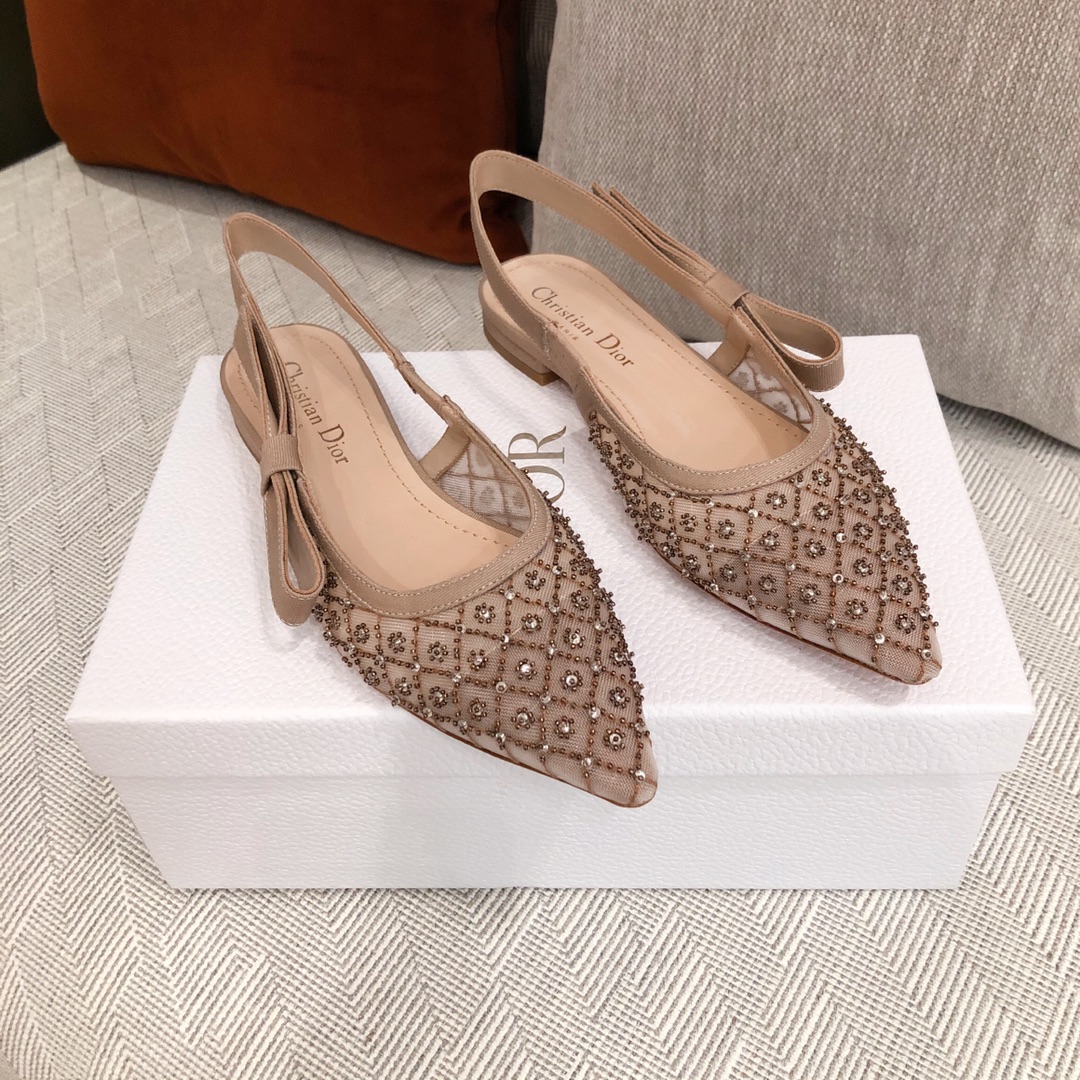 DIOR FLATS 11