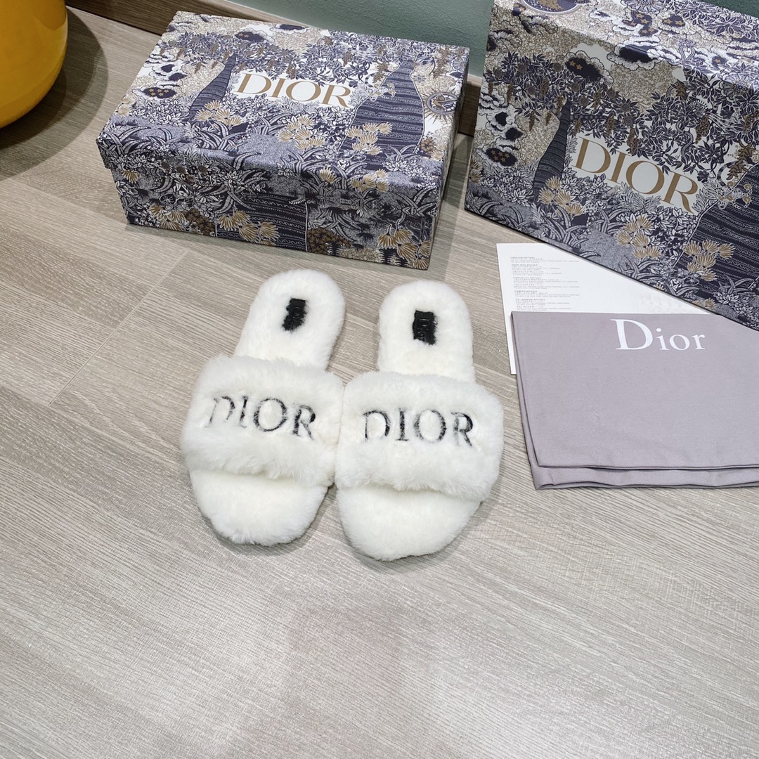 DIOR SLIPPERS 26