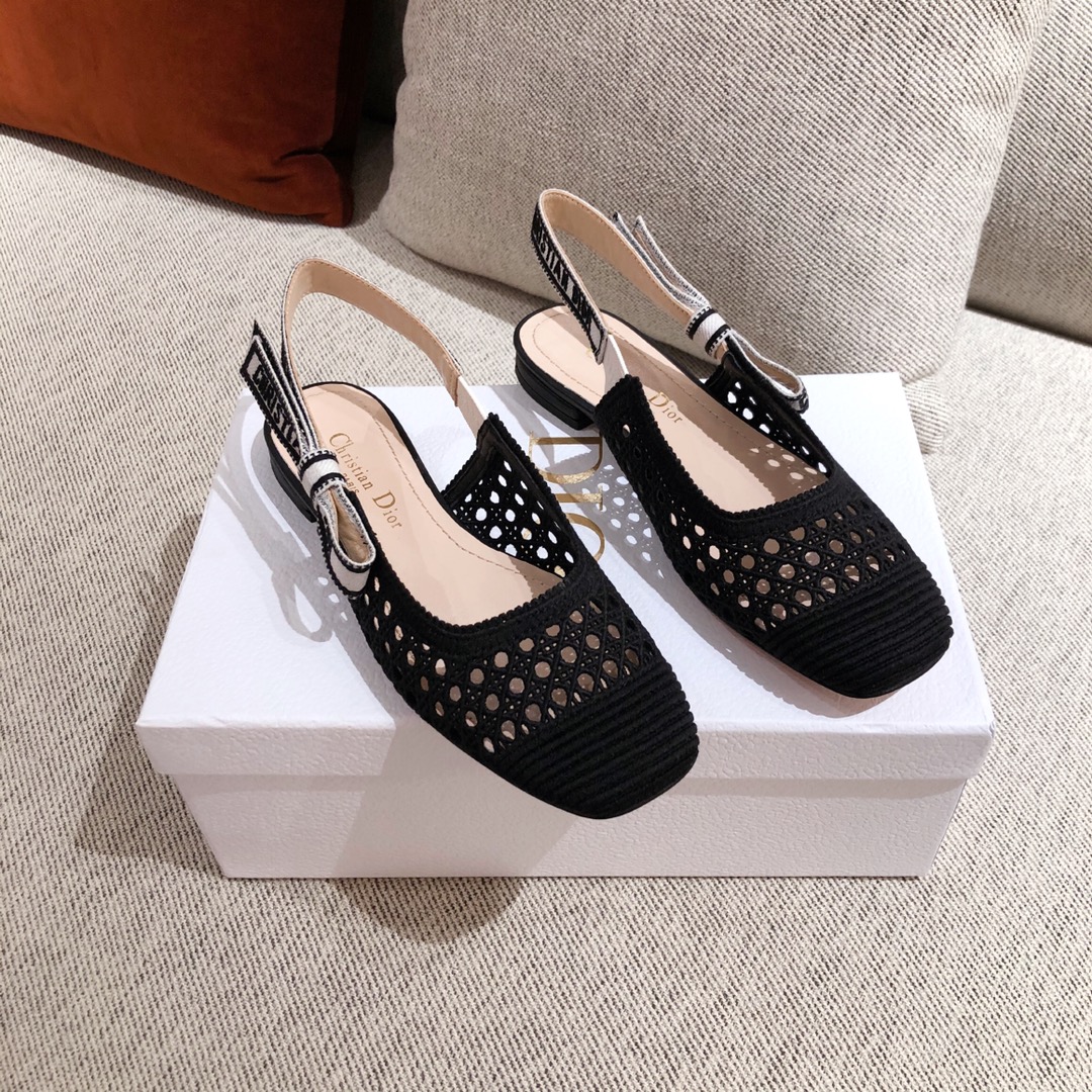 DIOR FLATS 31