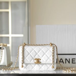 𝖠𝗇𝗍𝗂𝖻𝖺 flap bag